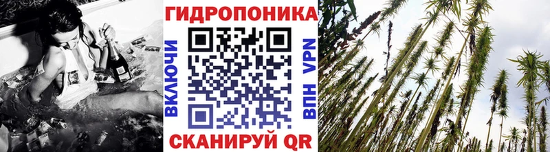 Бошки Шишки семена Теберда